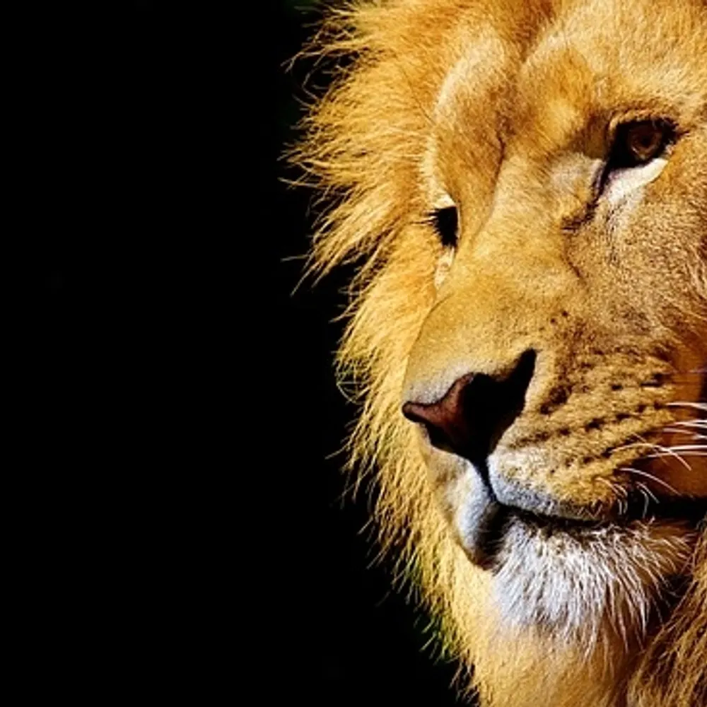 feelthemagic.bsky.social's profile picture