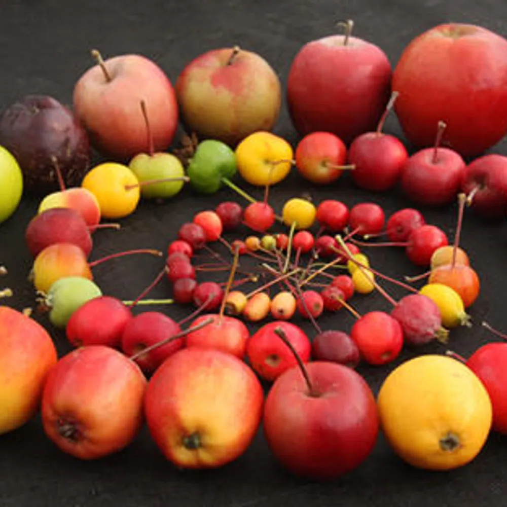 copsewood.net's profile picture