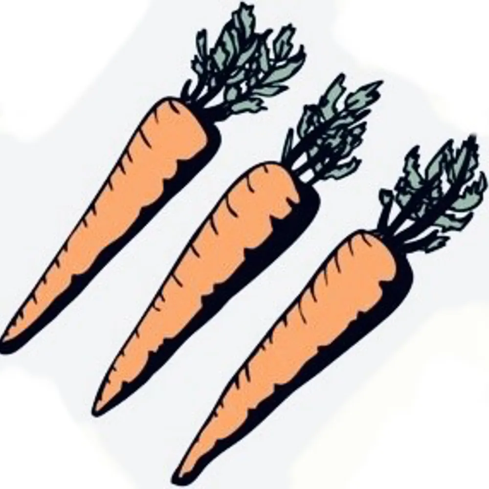 3carrots.bsky.social's profile picture