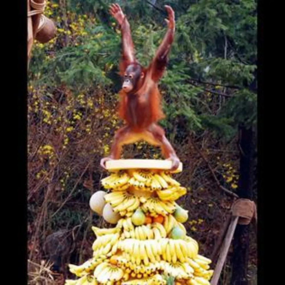 superduper004.bsky.social's profile picture