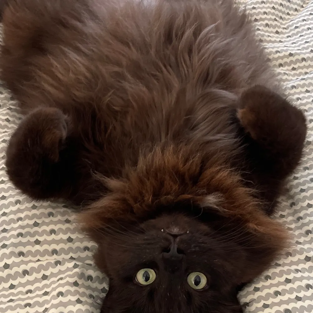 bhartz.bsky.social's profile picture