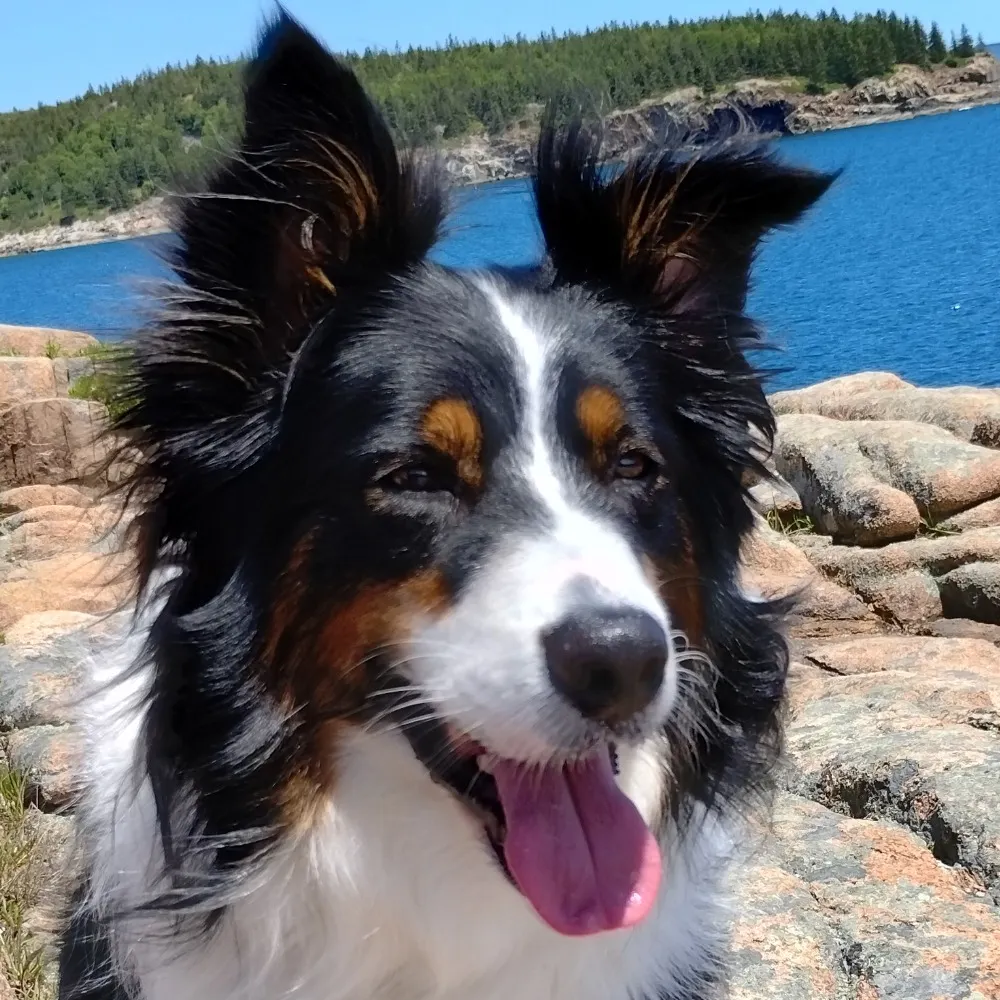 vivicorpceo.bsky.social's profile picture