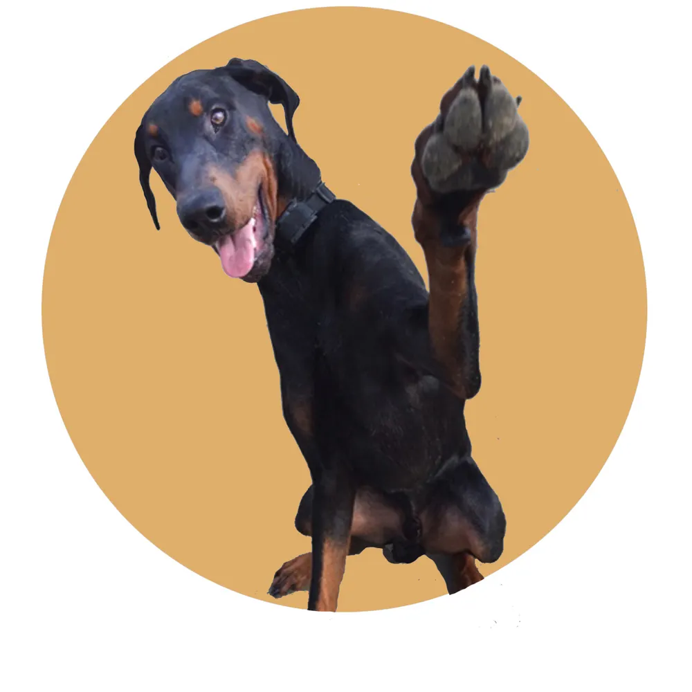 lyngianni.bsky.social's profile picture