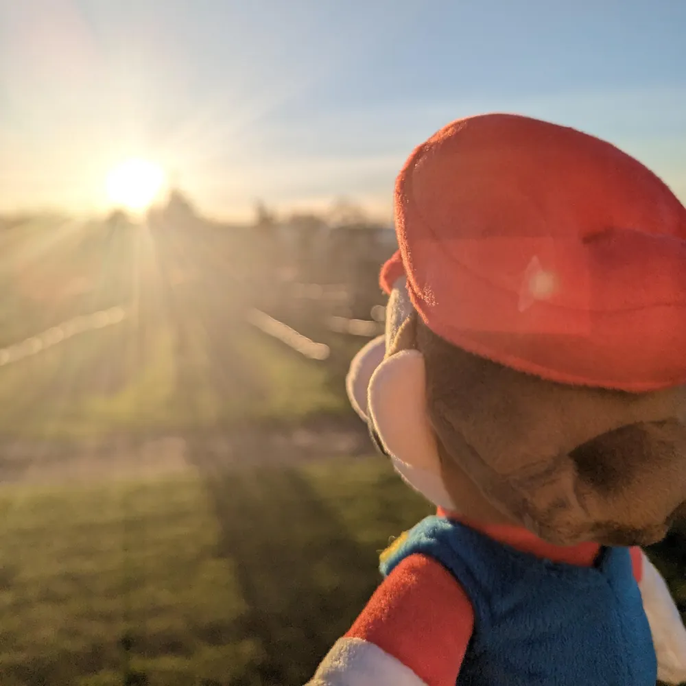 gtm5471.bsky.social's profile picture