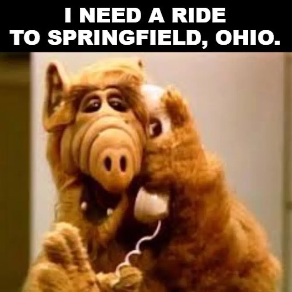 i8thecat.bsky.social's profile picture