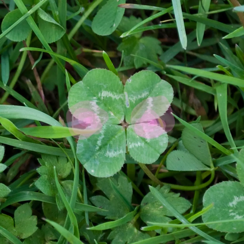 qdqf-etc.bsky.social's profile picture