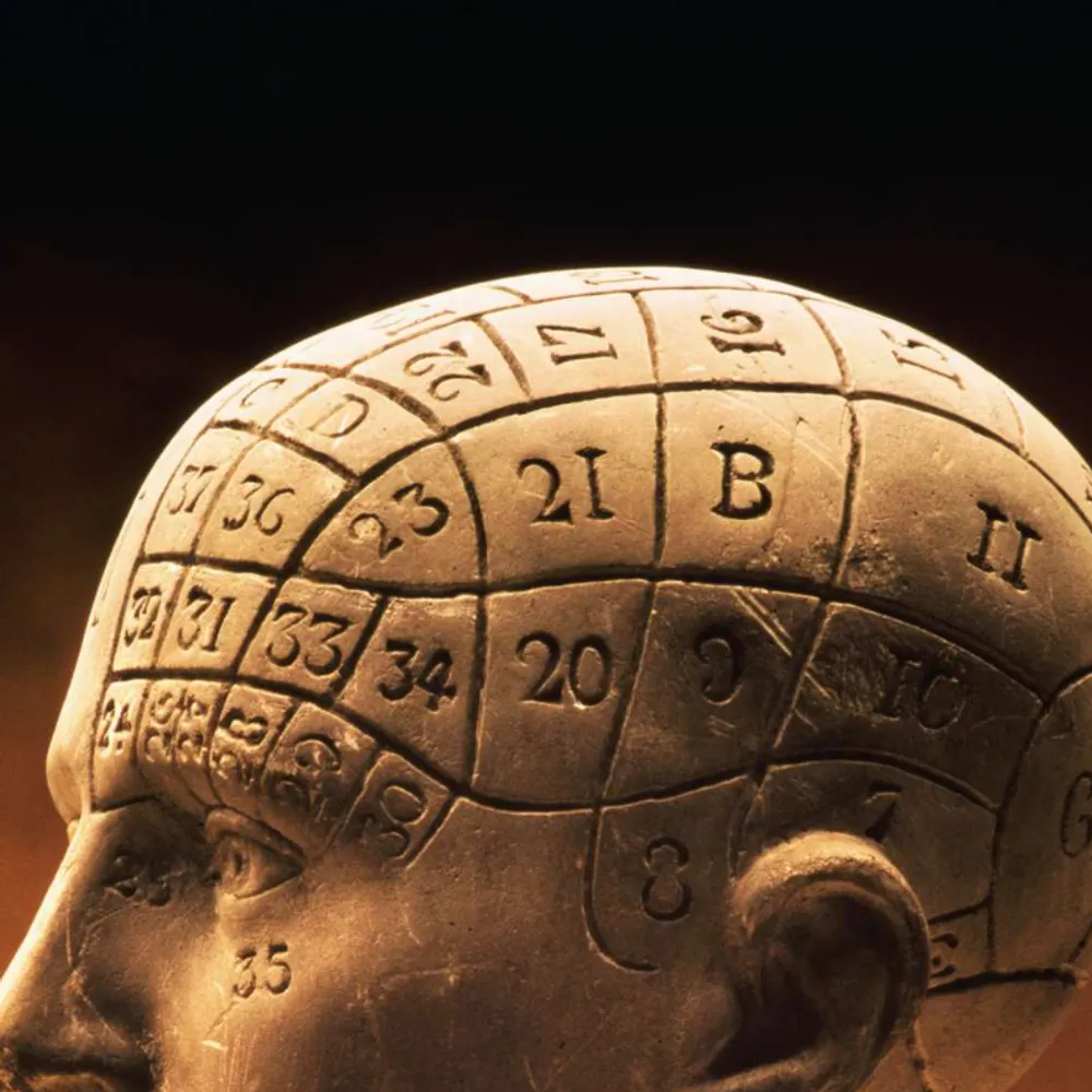 hatesnicethings.bsky.social's profile picture