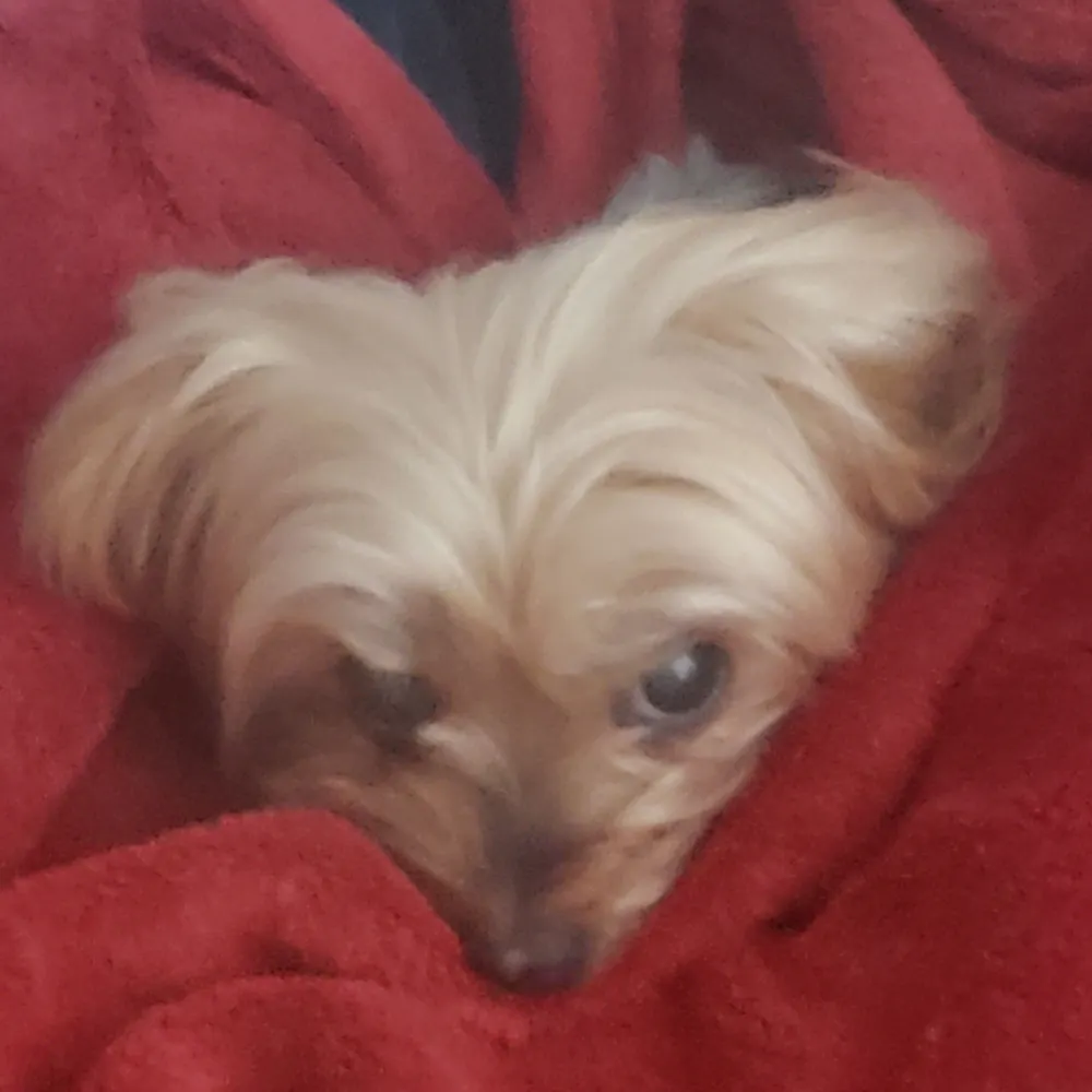 ranryu.bsky.social's profile picture