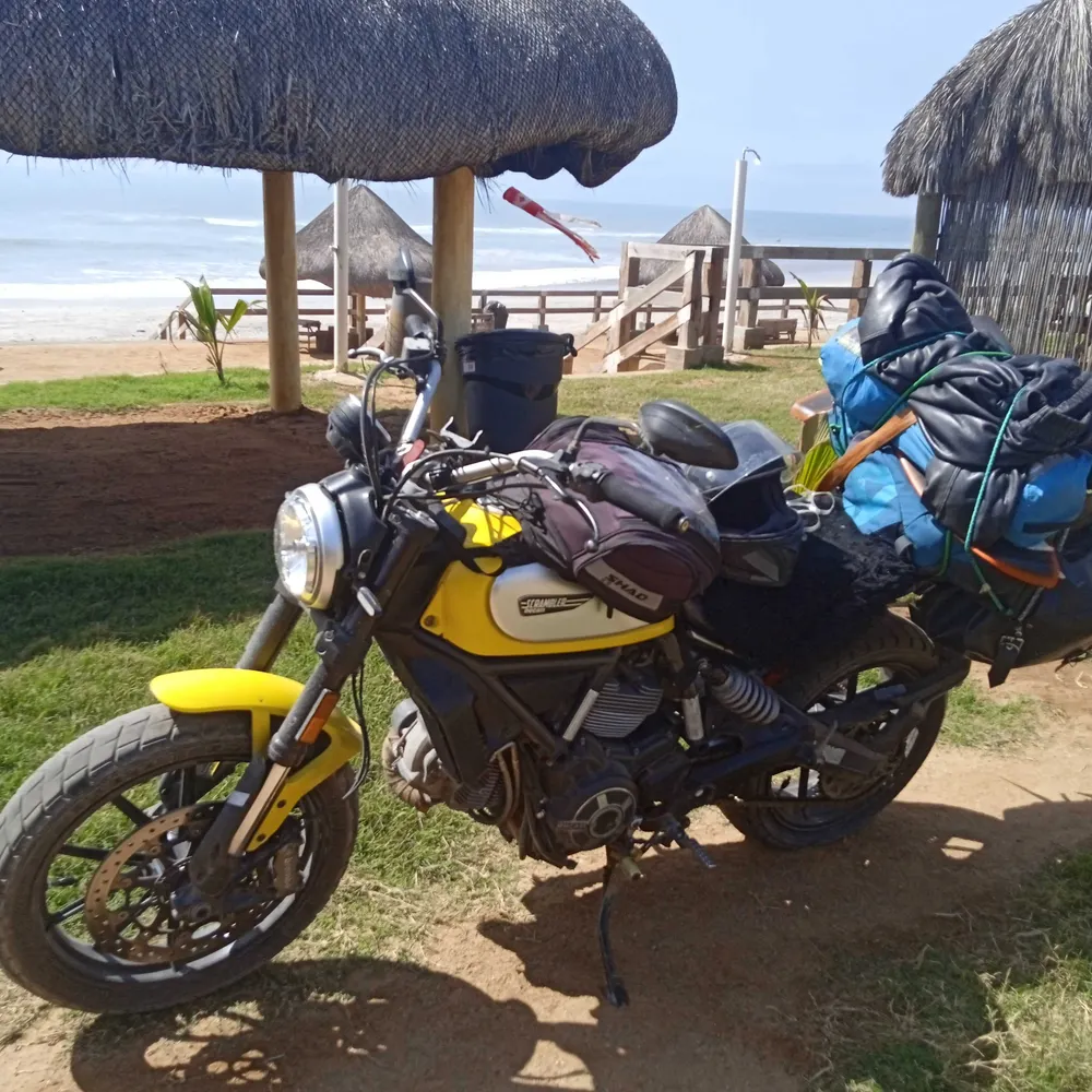 seca550.bsky.social's profile picture