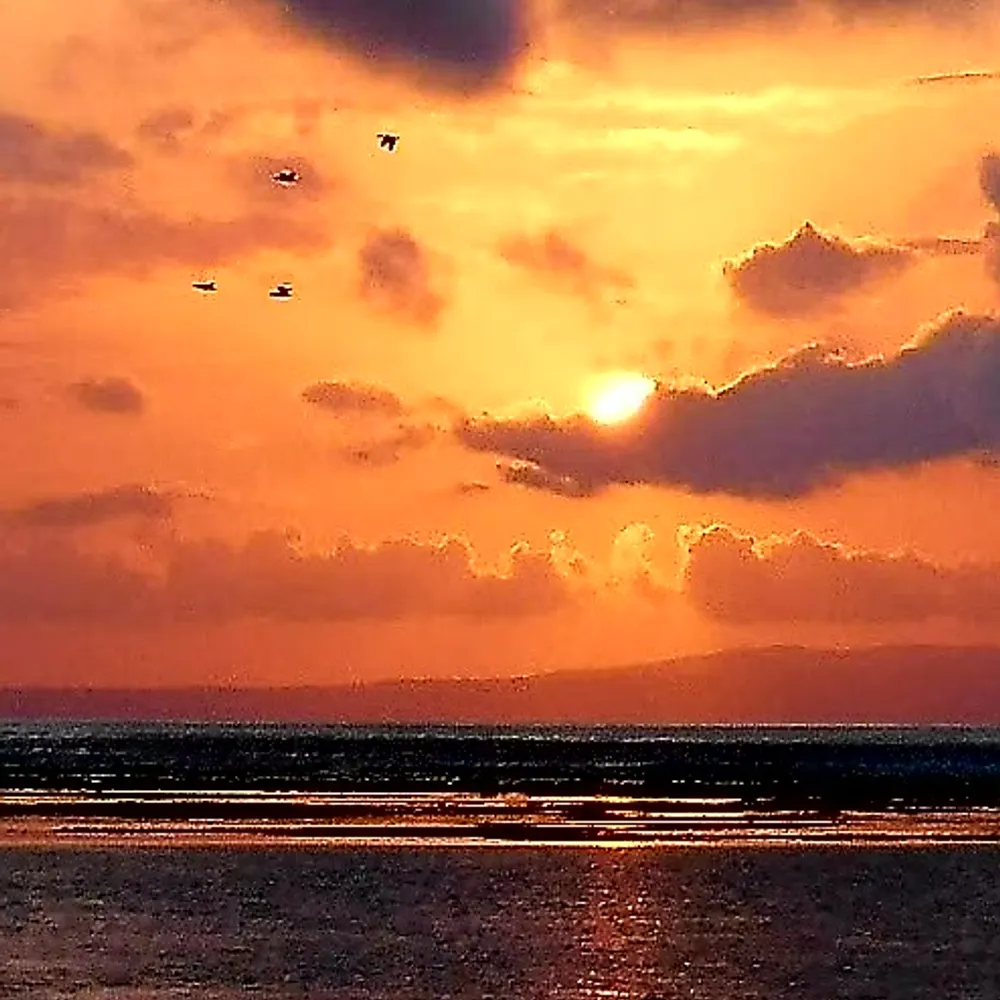 ebm413.bsky.social's profile picture