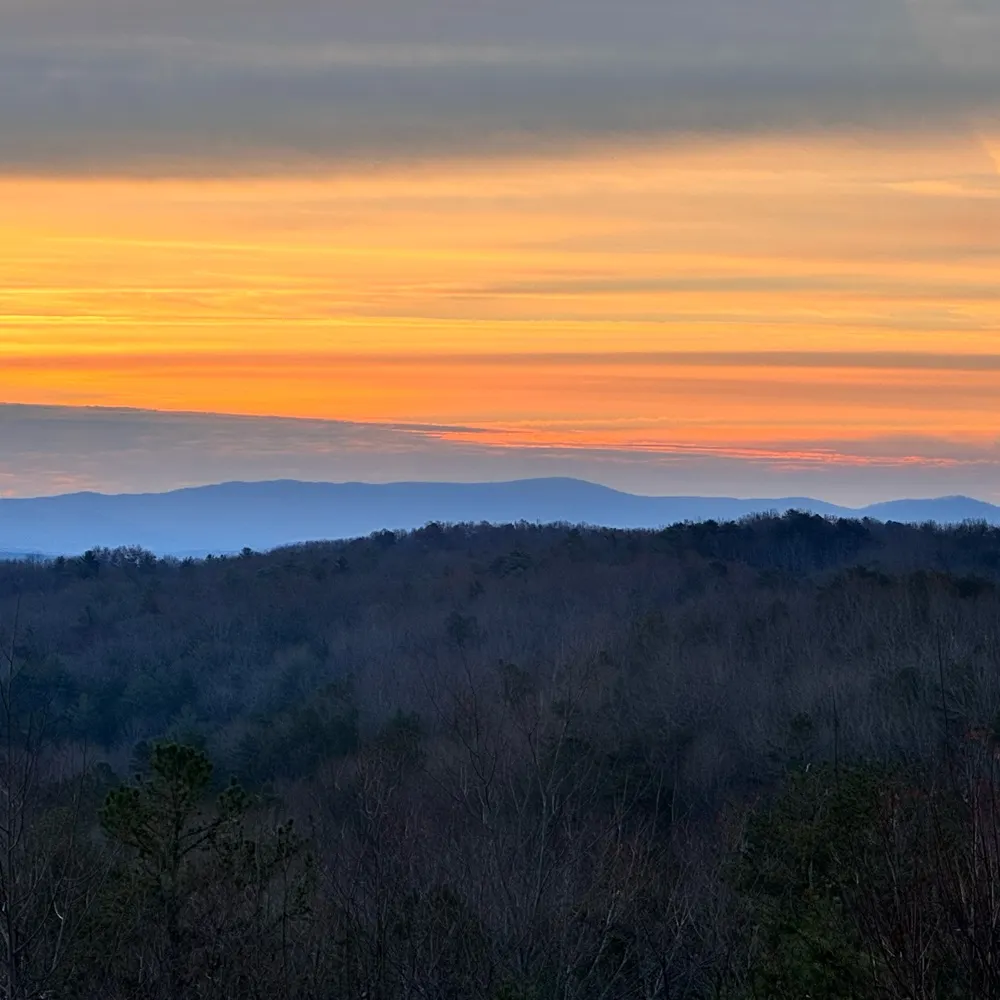 blackdog57.bsky.social's profile picture