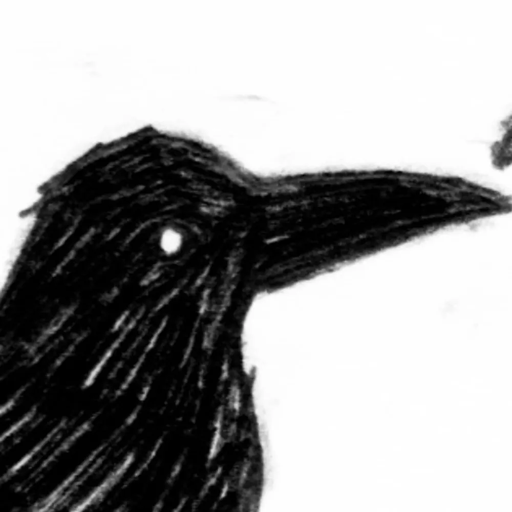 xreamy.bsky.social's profile picture