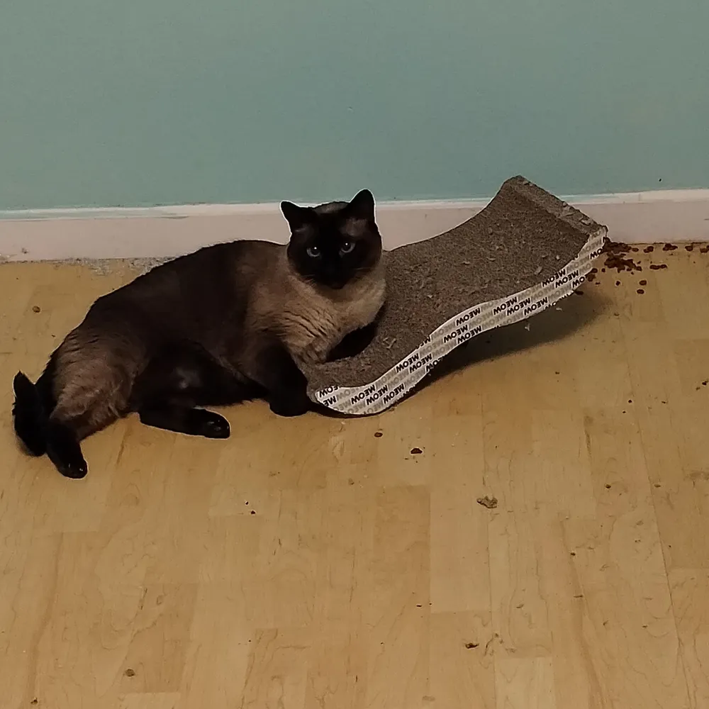 jhohos.bsky.social's profile picture