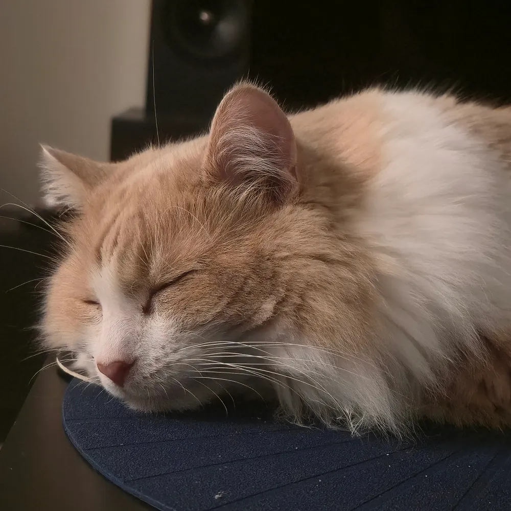 anthonybarranco.bsky.social's profile picture