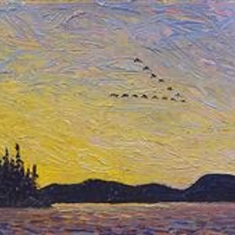 sbeen.bsky.social's profile picture