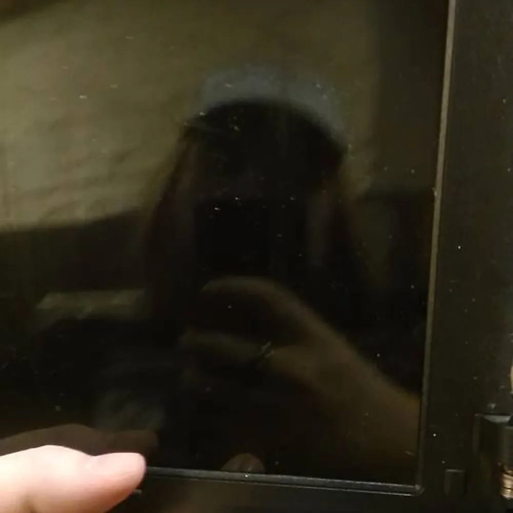 korruptio.bsky.social's profile picture