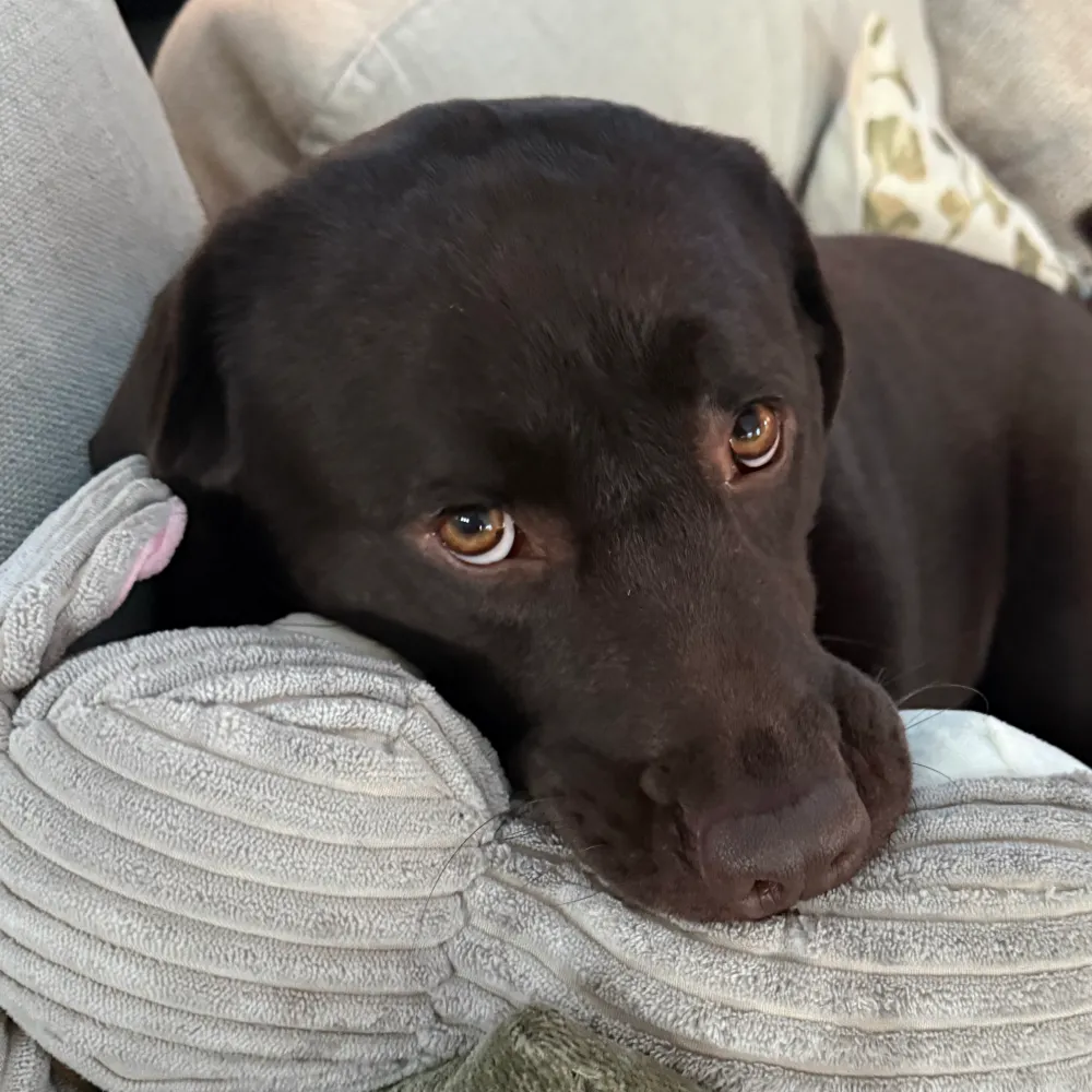 wjhall3.bsky.social's profile picture