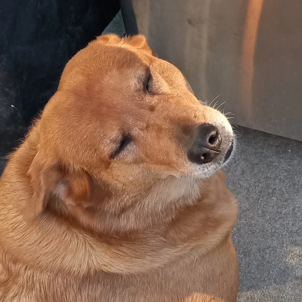 cogswell.bsky.social's profile picture