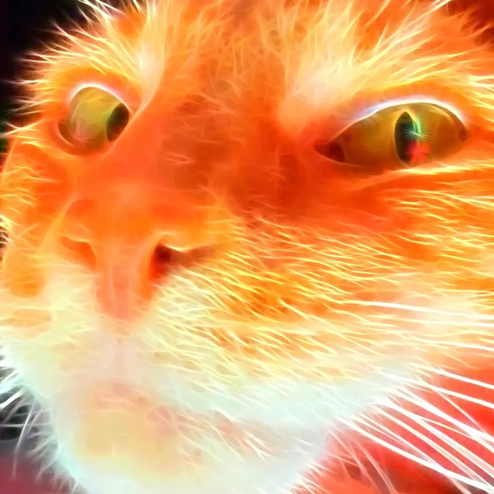 tlbklaus.bsky.social's profile picture