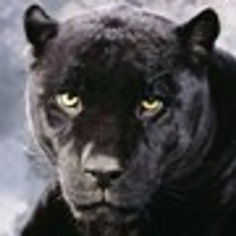 darkwatchertoo.bsky.social's profile picture