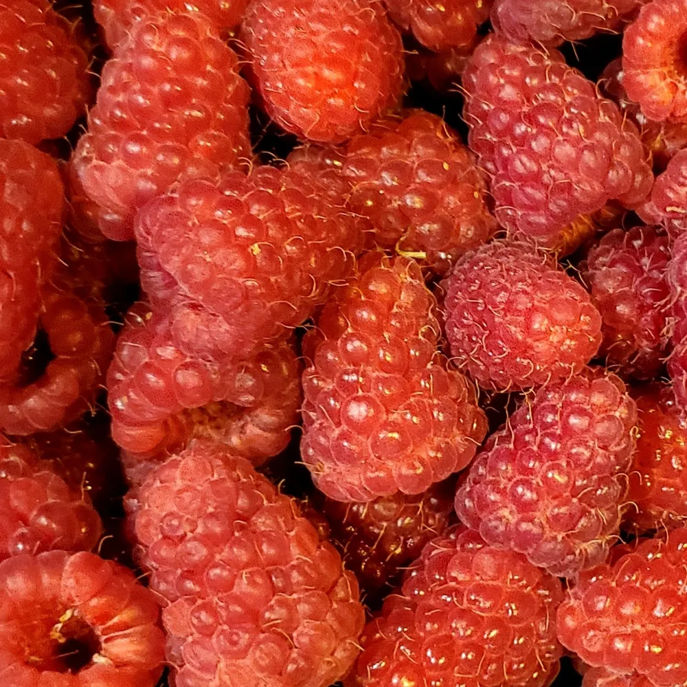 cookingtheresa.bsky.social's profile picture