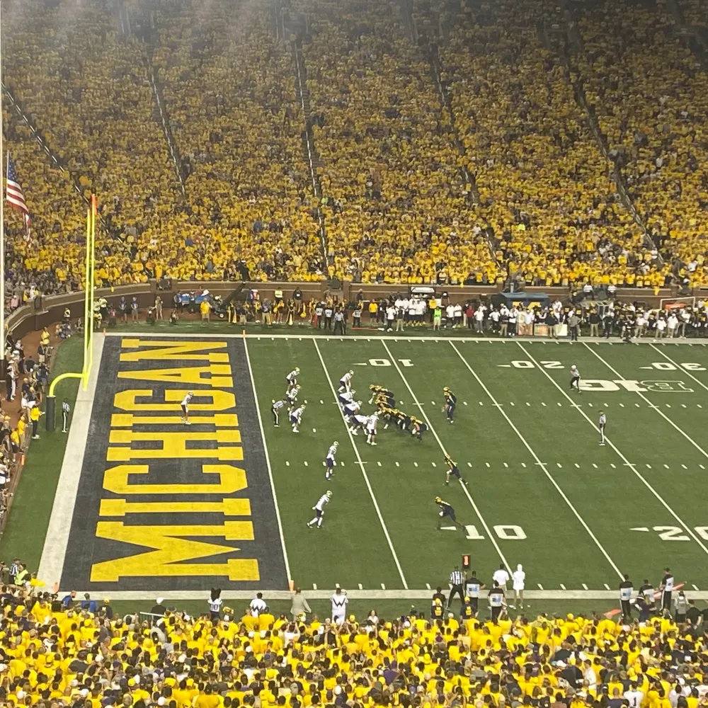 bravesandbirds.bsky.social's profile picture