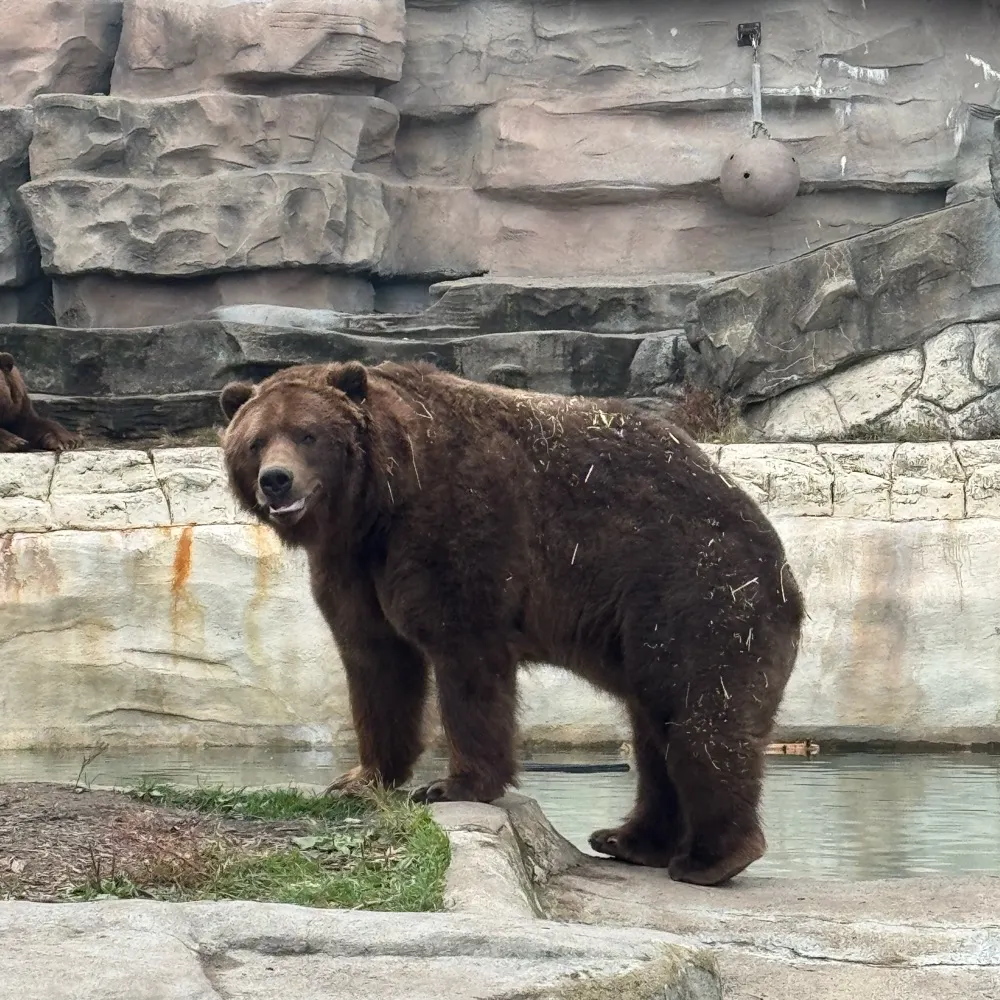 oofta123.bsky.social's profile picture