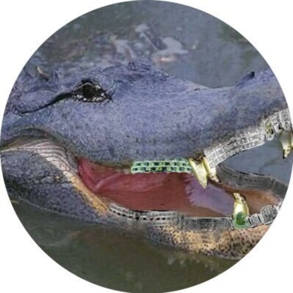 hamiltonnolan.bsky.social's profile picture