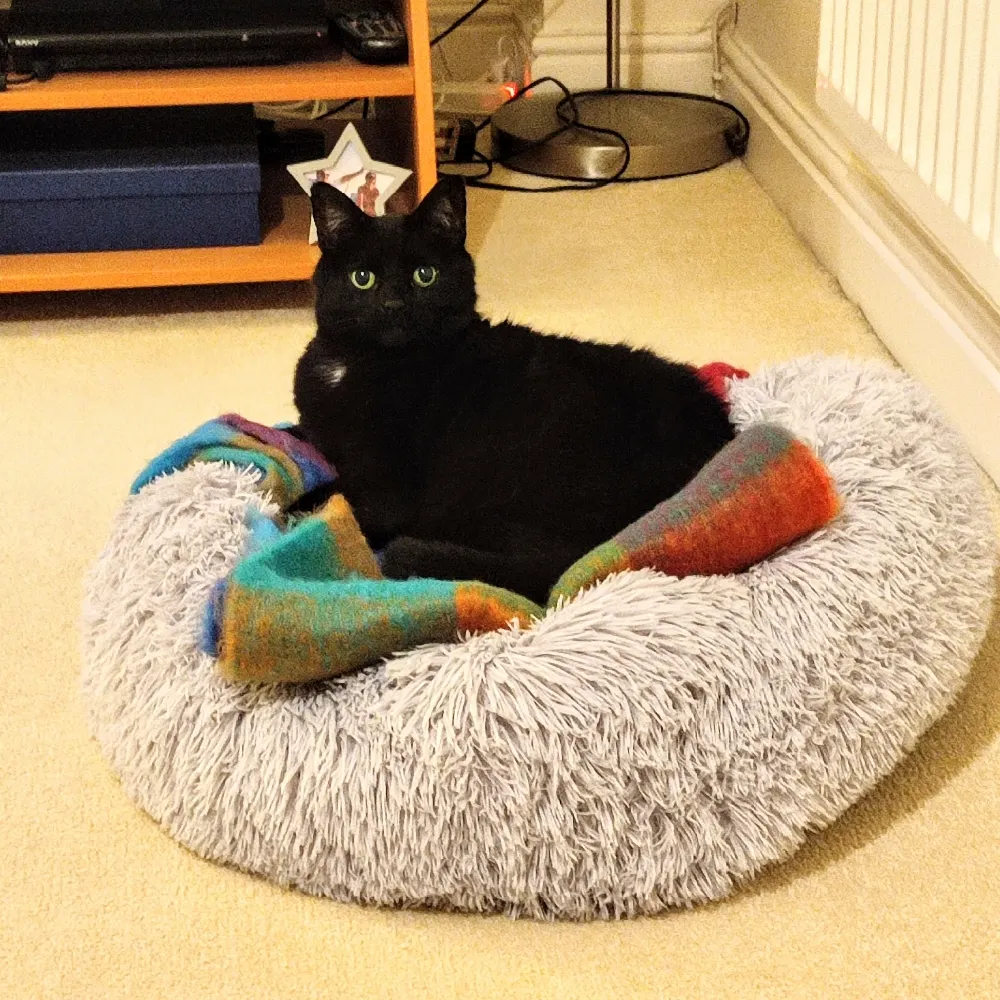 djsim1970.bsky.social's profile picture