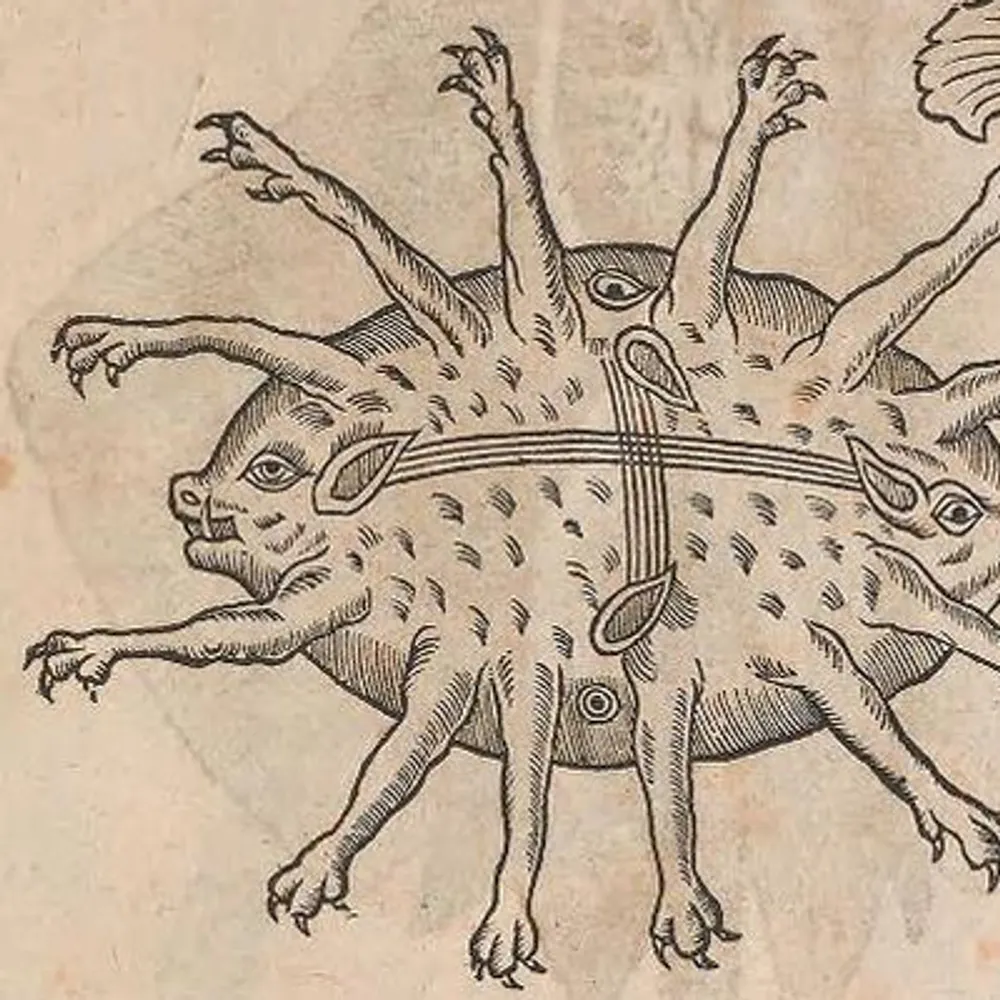 grimalex.bsky.social's profile picture