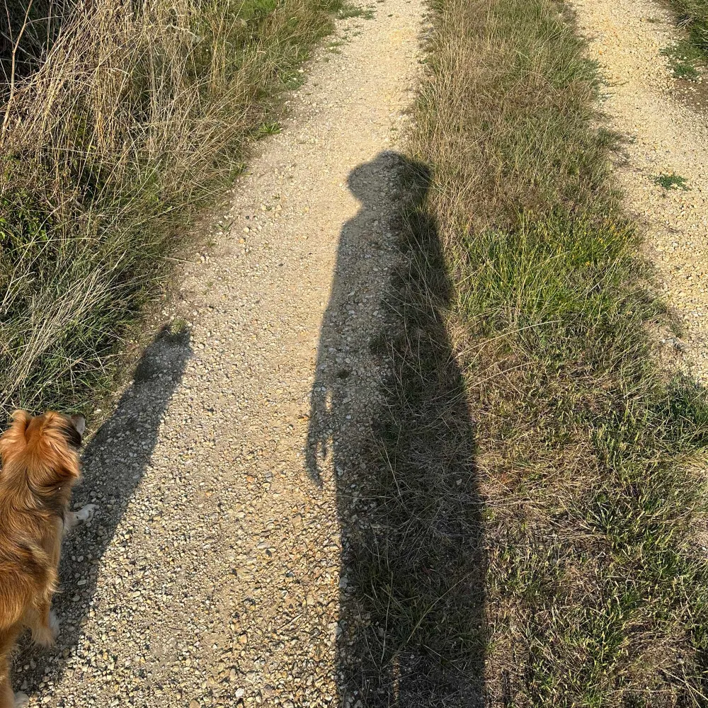 annbehemothhh.bsky.social's profile picture