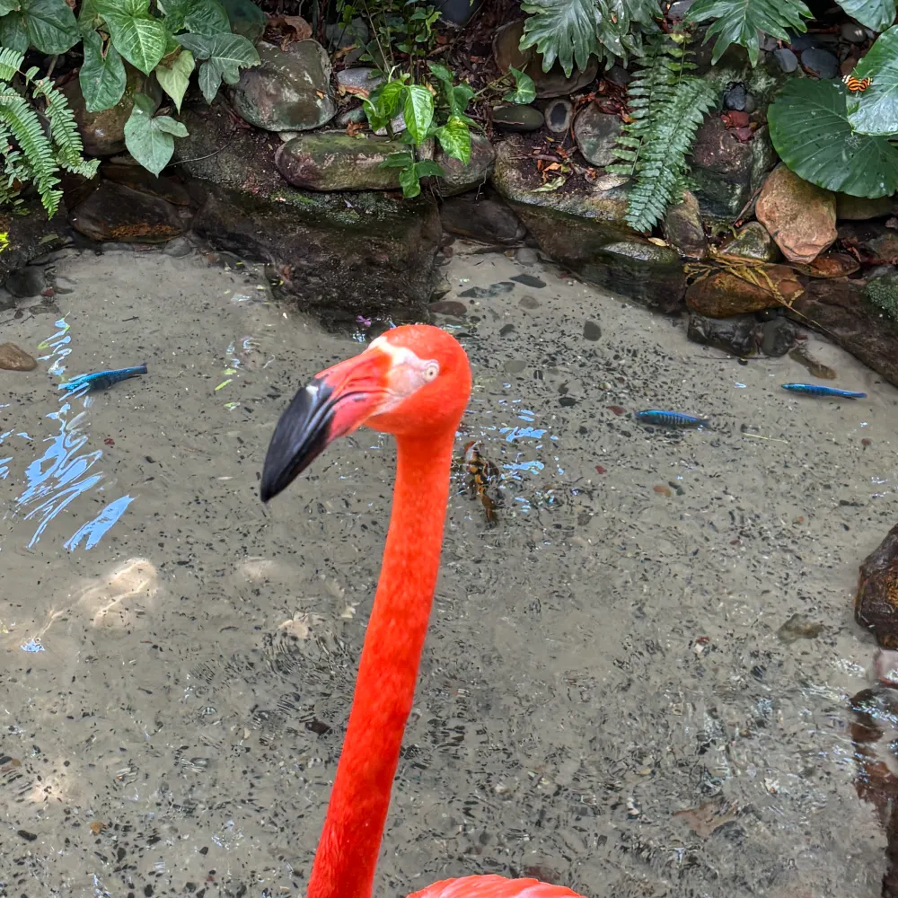 ynotask.bsky.social's profile picture