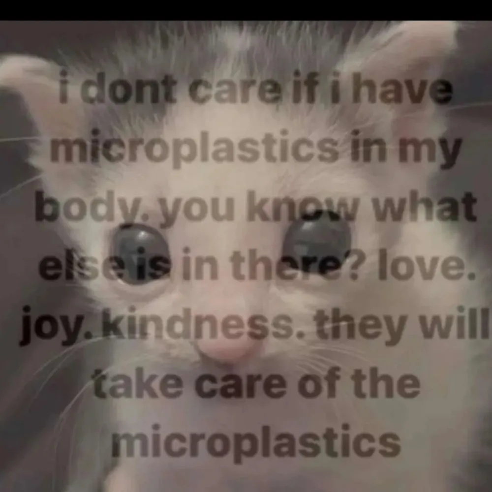 bennyfrank.bsky.social's profile picture