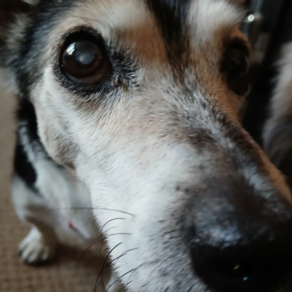 wreay62.bsky.social's profile picture