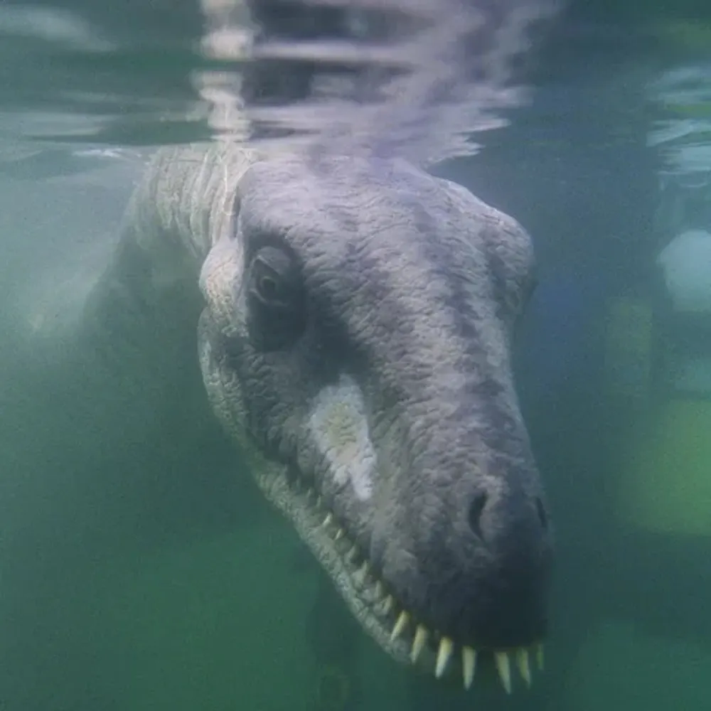 barterloch.bsky.social's profile picture