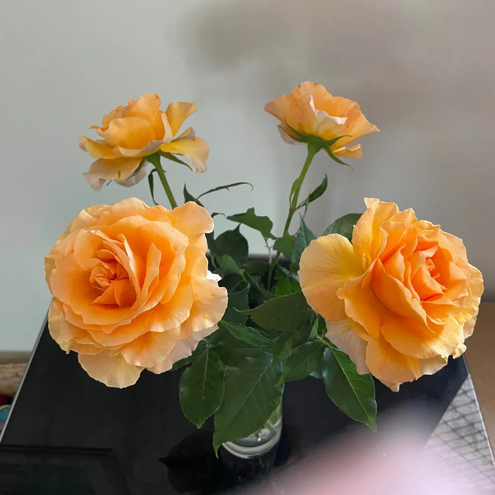 sandraeb.bsky.social's profile picture