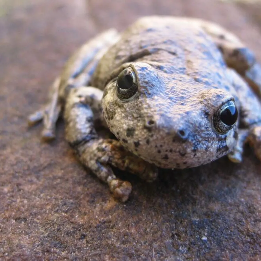 mmozell.bsky.social's profile picture