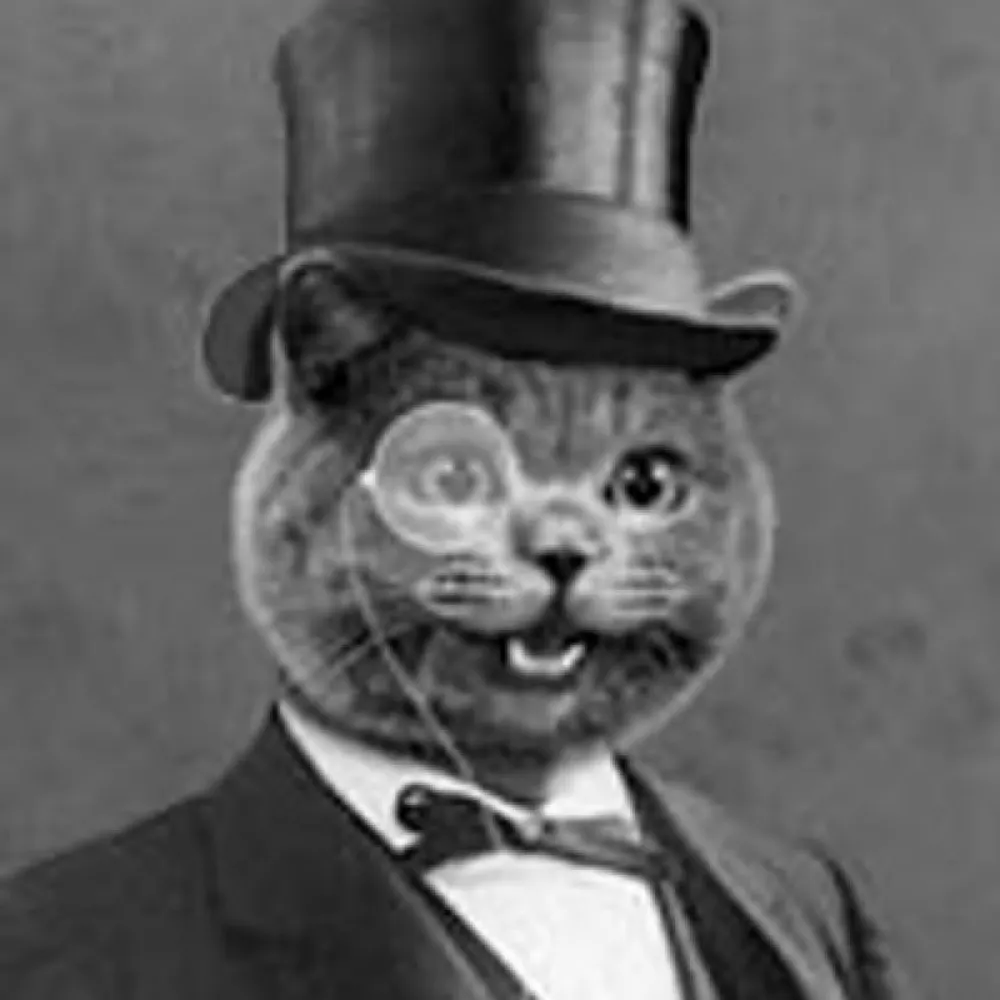 steppencat.bsky.social's profile picture