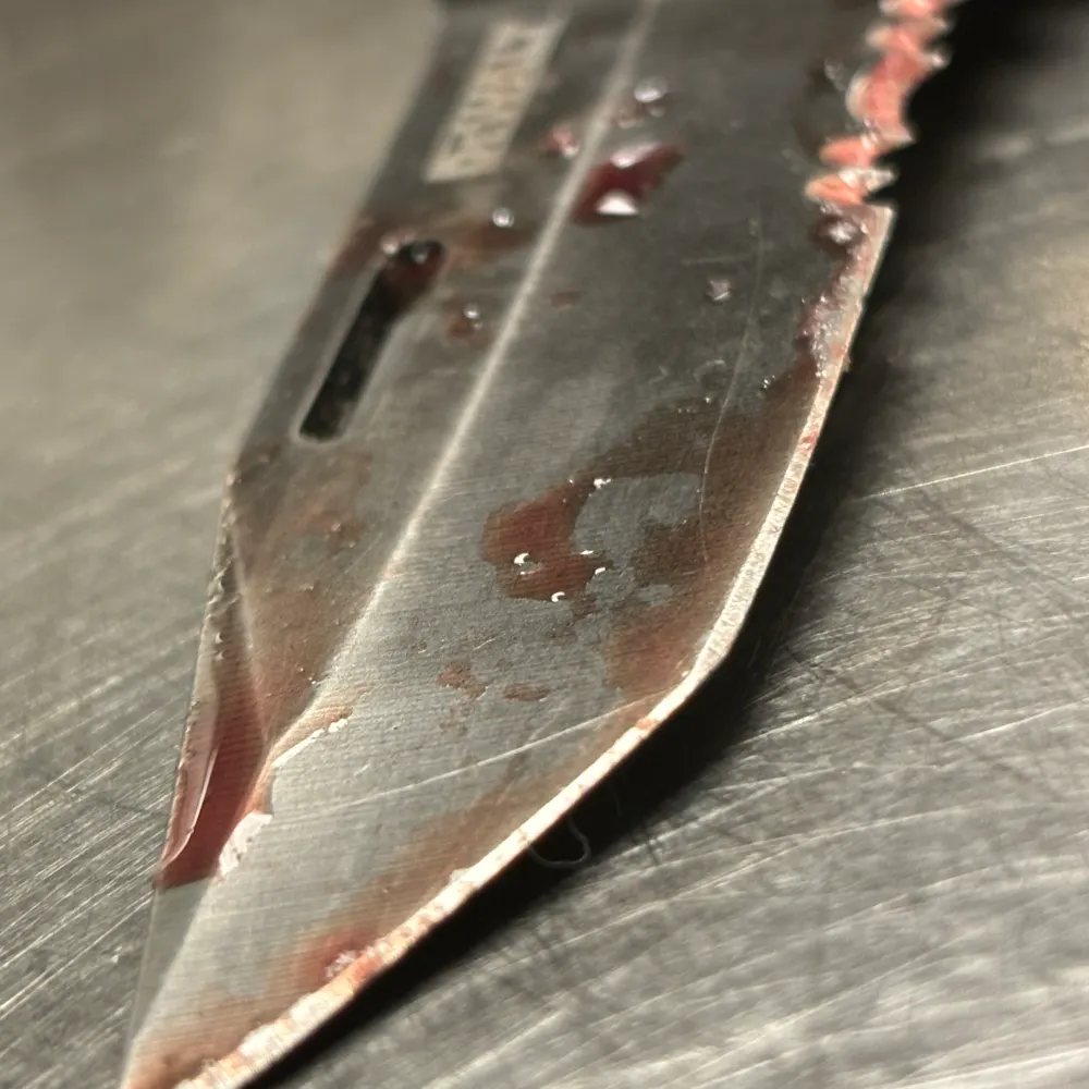 stlcatfishmike.bsky.social's profile picture