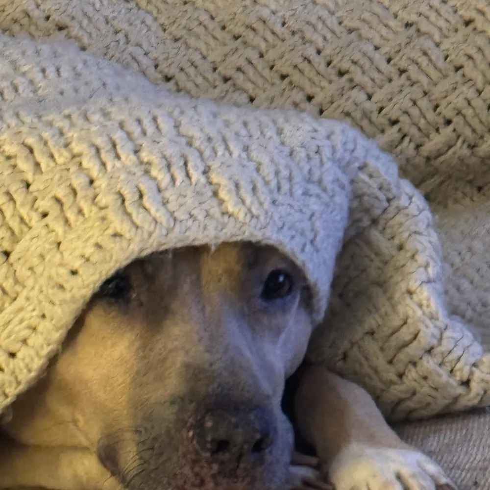 mimeismoney.bsky.social's profile picture