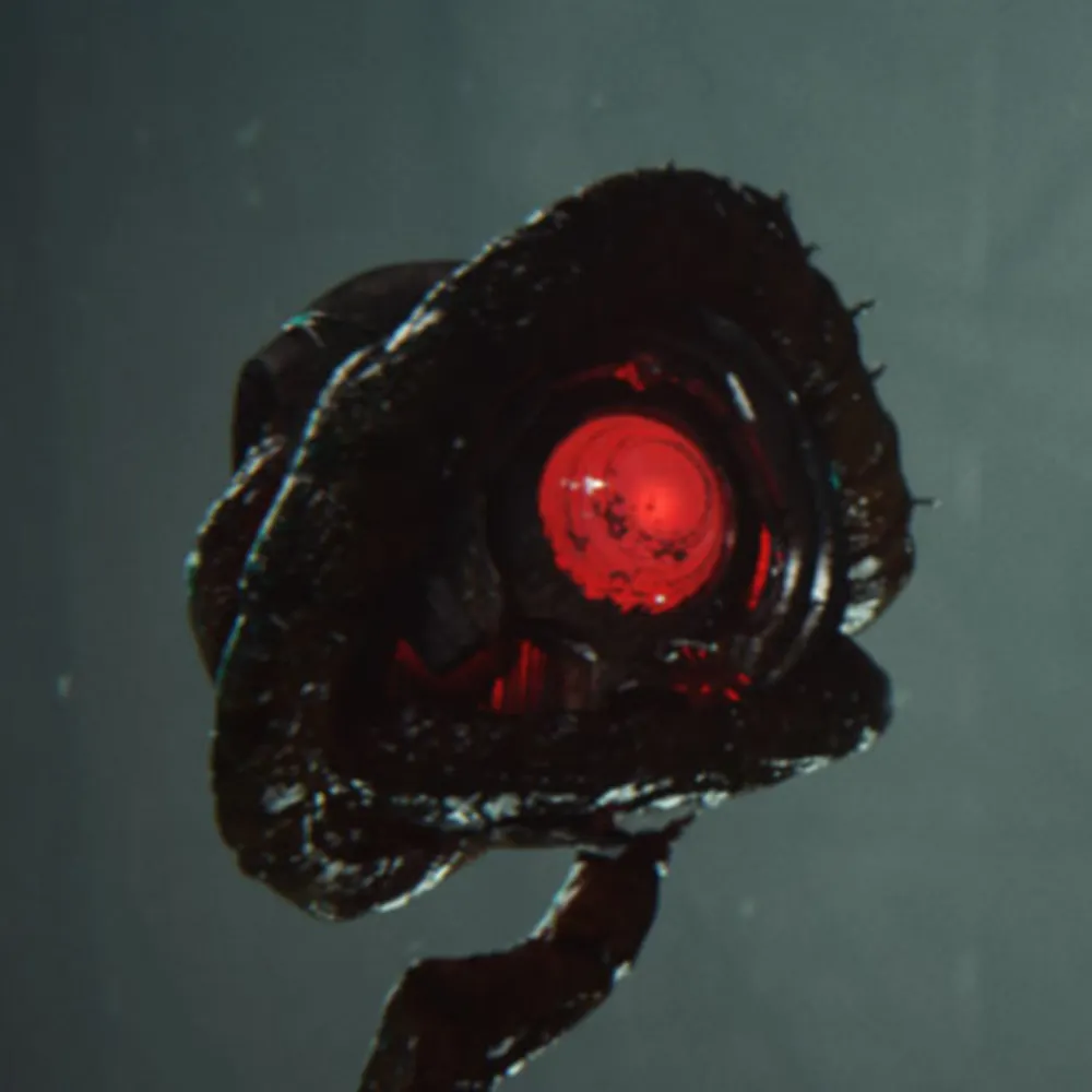 towboat421.bsky.social's profile picture