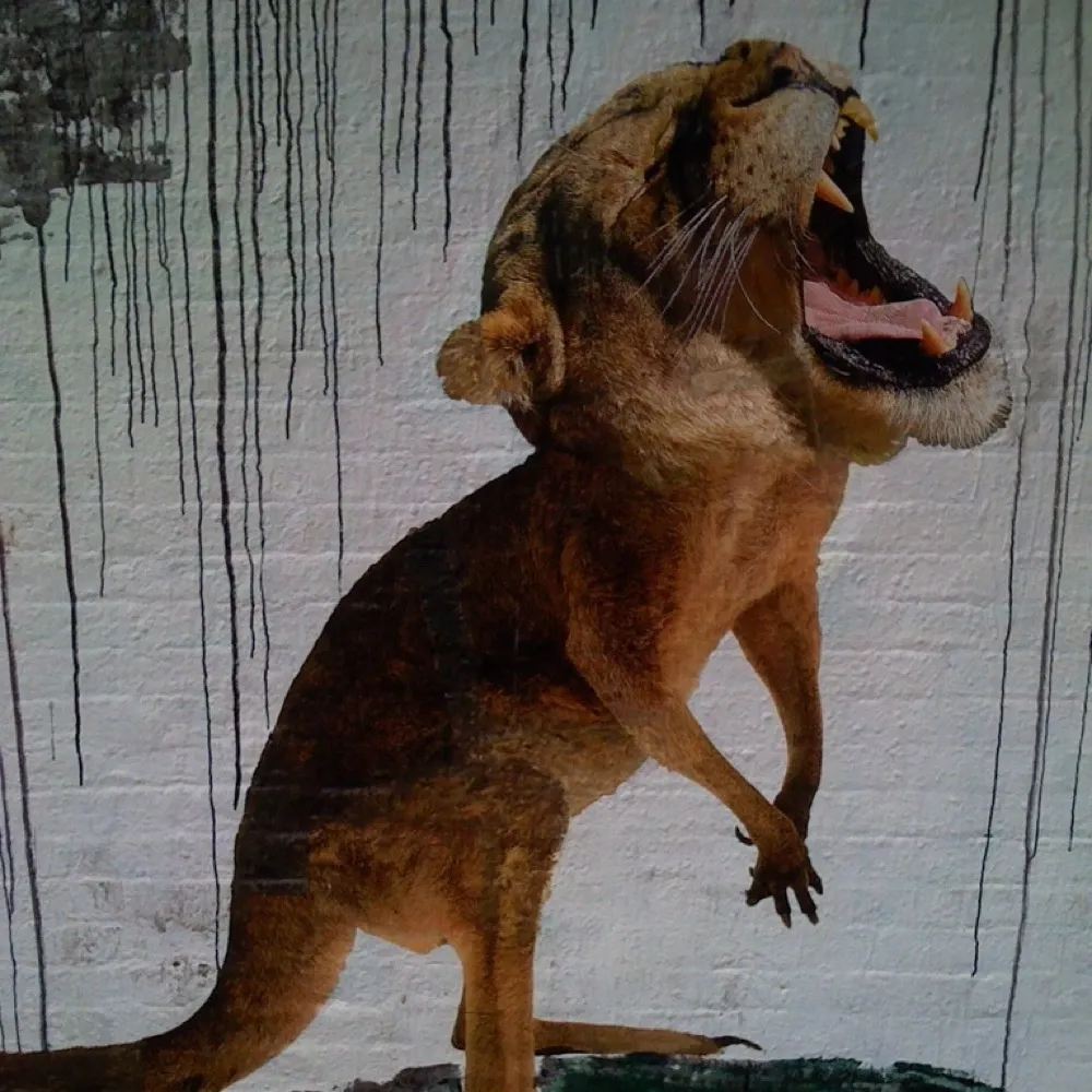 cwom.bsky.social's profile picture