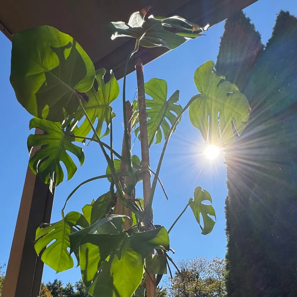 yrbffanna.bsky.social's profile picture