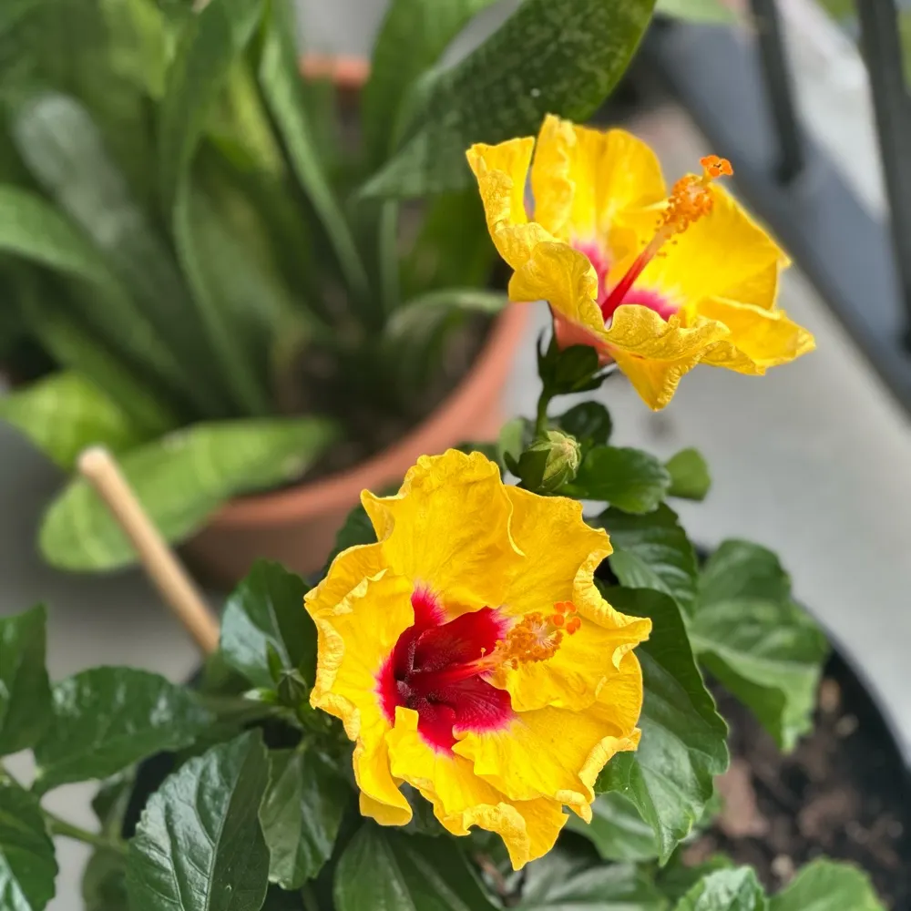 rkjgrandma.bsky.social's profile picture