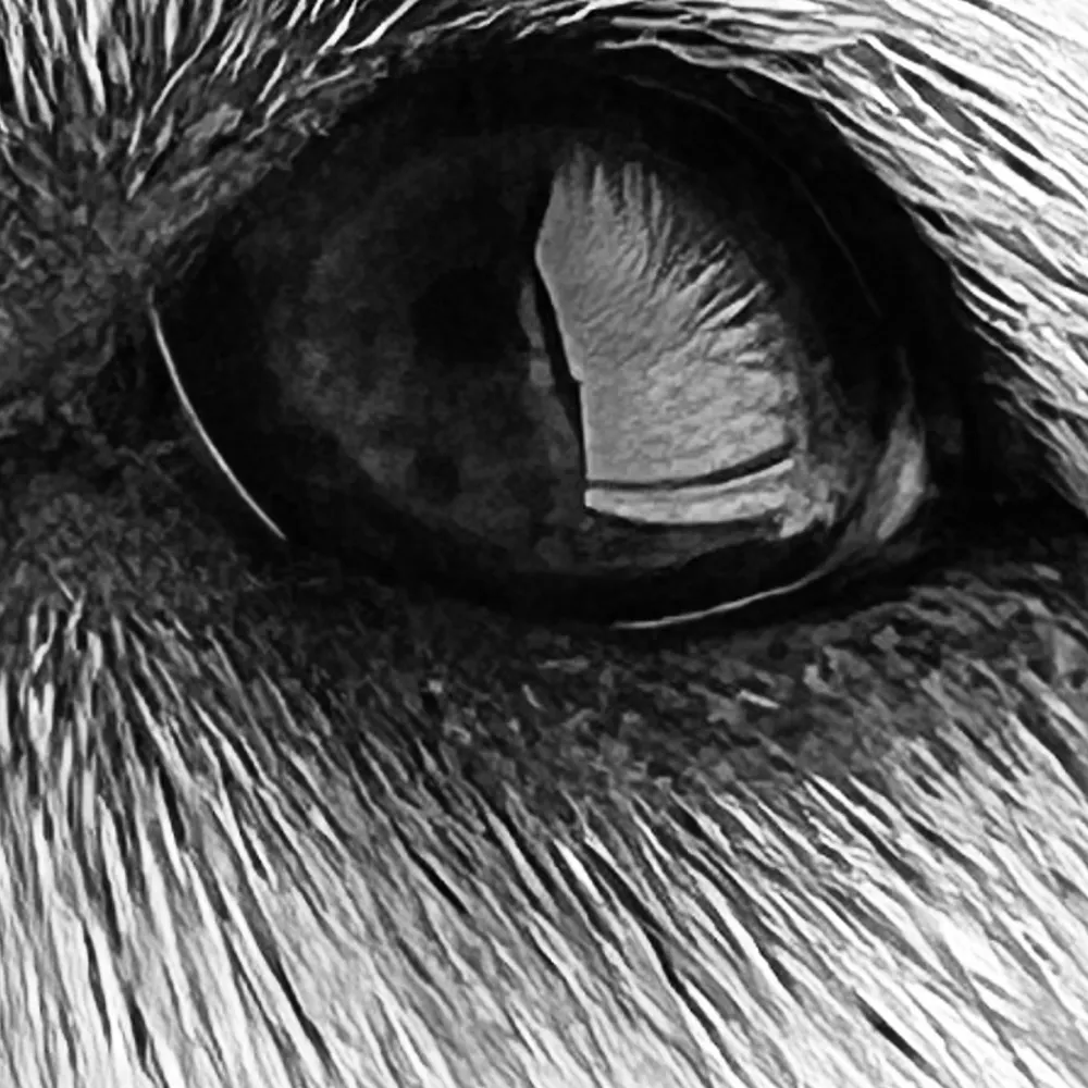 jakwash.bsky.social's profile picture