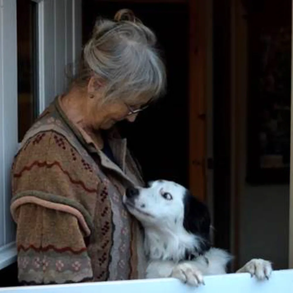 buffybatik.bsky.social's profile picture