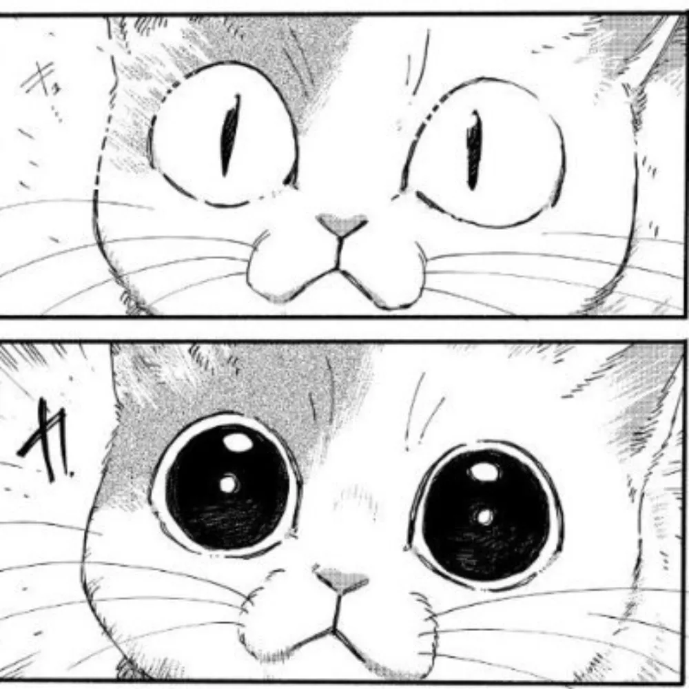 voltflaire.bsky.social's profile picture