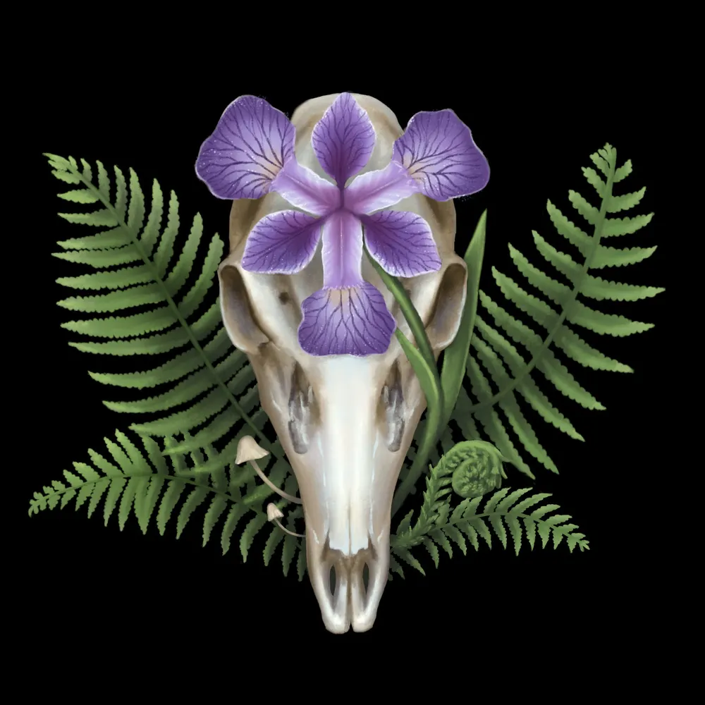 doedryadart.bsky.social's profile picture