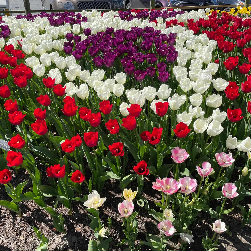 angelinwa.bsky.social's profile picture