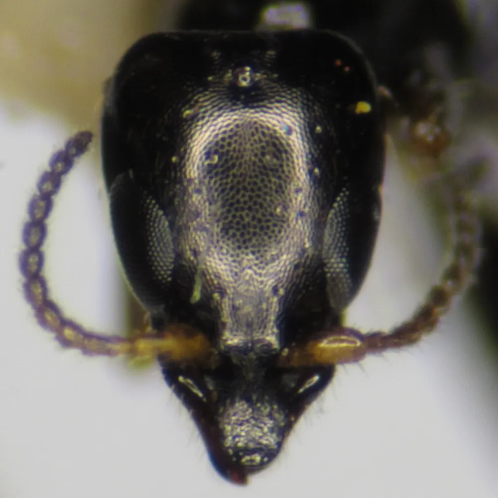 kmagnacca.bsky.social's profile picture